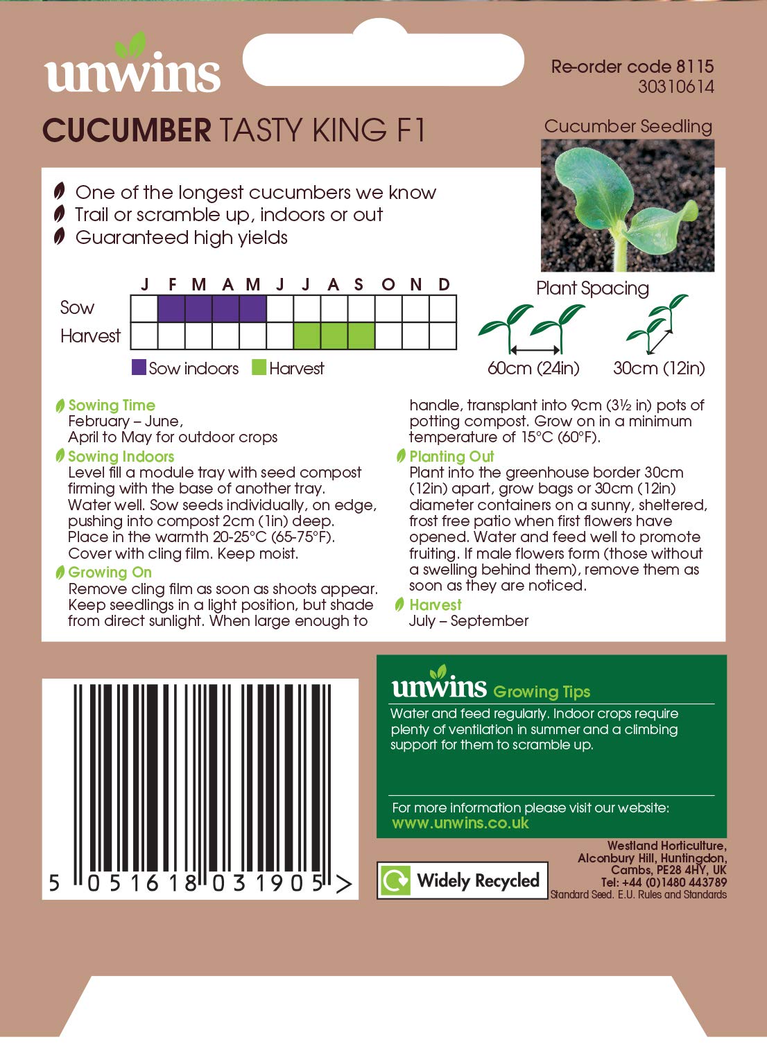 Unwins Cucumber Tasty King F1 Seeds : Amazon.co.uk: Garden